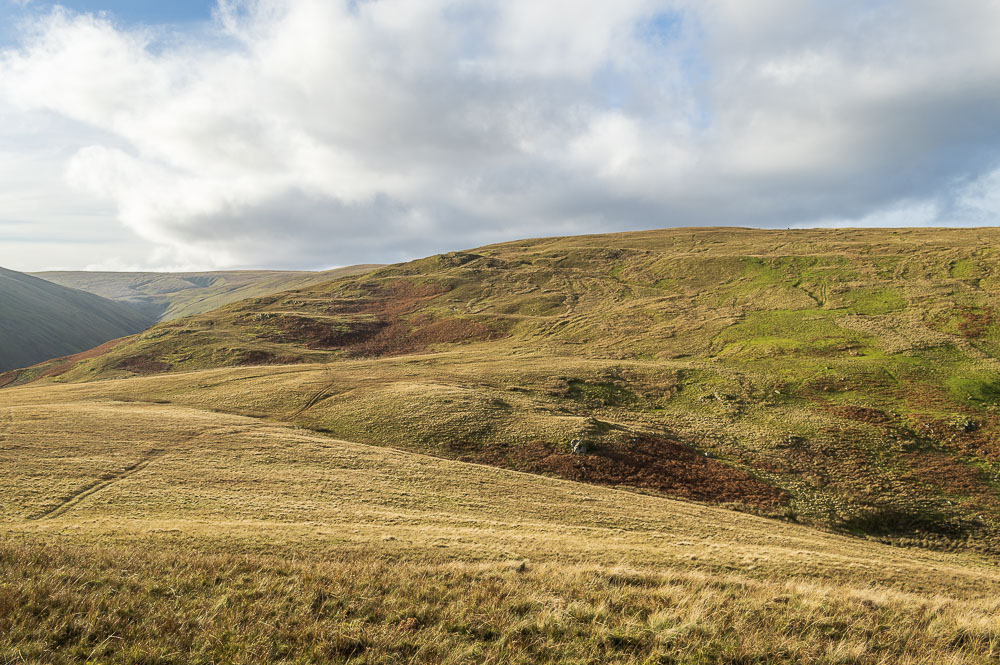Low Kop